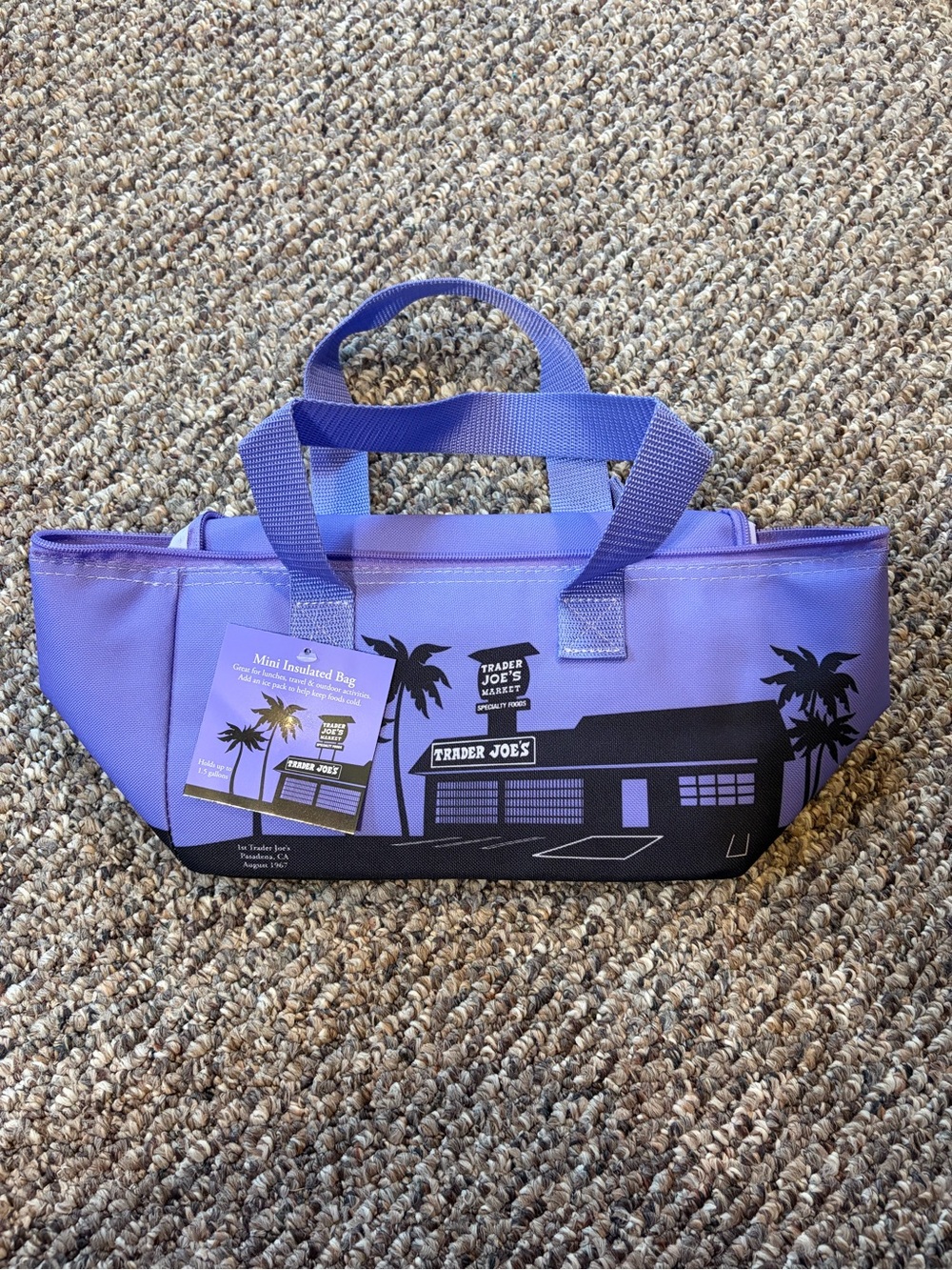 Trader Joe's Purple Mini Lavender Insulated Cooler Bag
